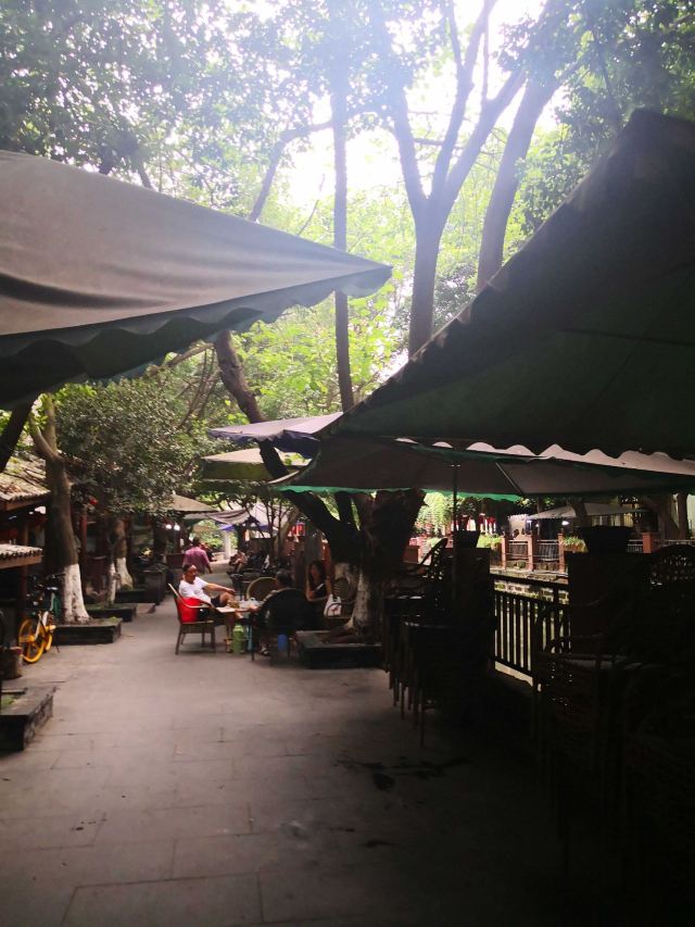 崇德园旅行图片 7