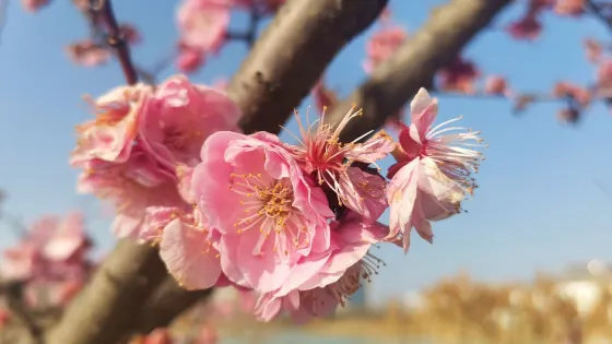 嘉山公園