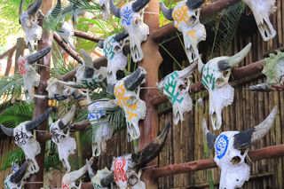 有山有水还有你，皮划艇见证的亲子时光~