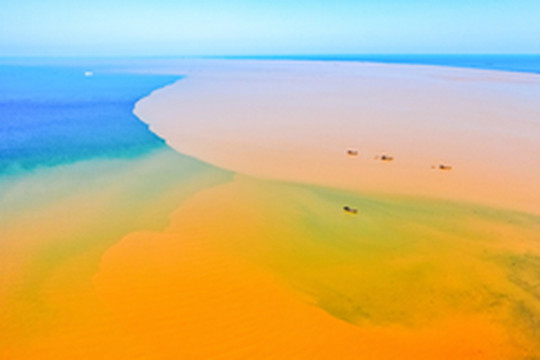 东营游记图片] 在黄河入海口，看黄蓝交汇的神奇景观