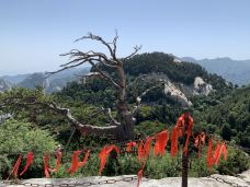 西峰-华阴-YoYo_2C4S3T5F