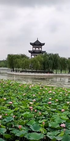 东湖-宝鸡-世界美食游走达人