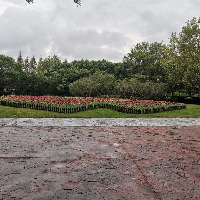 金桥公园旅行图片 1