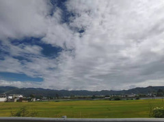 剑川游记图片] 2021071 说说石宝山