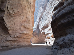 温宿游记图片] 2020年秋游（三）：深邃峡谷和灿烂胡杨