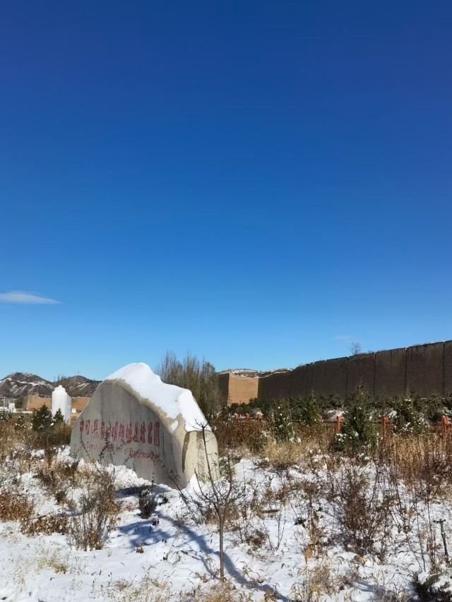 万全右卫城旅行图片 8