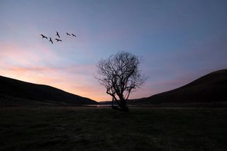 元旦游 | 川西美景眼花缭乱，而莲宝叶则有1000个理由让你元旦必须去！