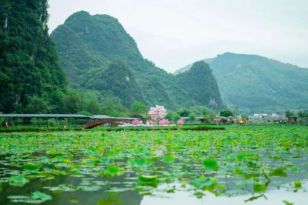 清远旅游，独享客家特色民宿，住进峰林人家实属恬静养心之福地！