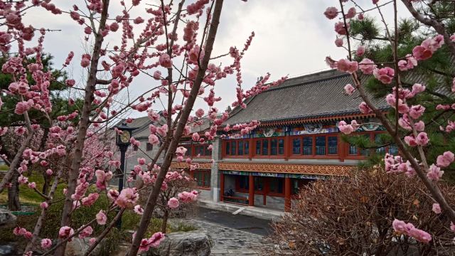 地坛公园旅行图片 6