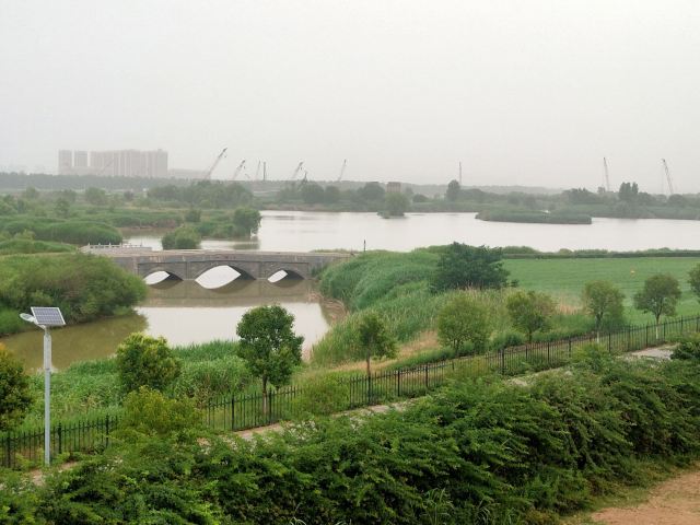 灞渭生态滩区旅行图片 6