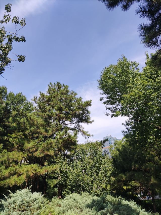 双秀公园旅行图片 5