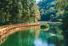 福山植物园景点图片