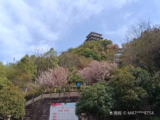 宝龙山公园