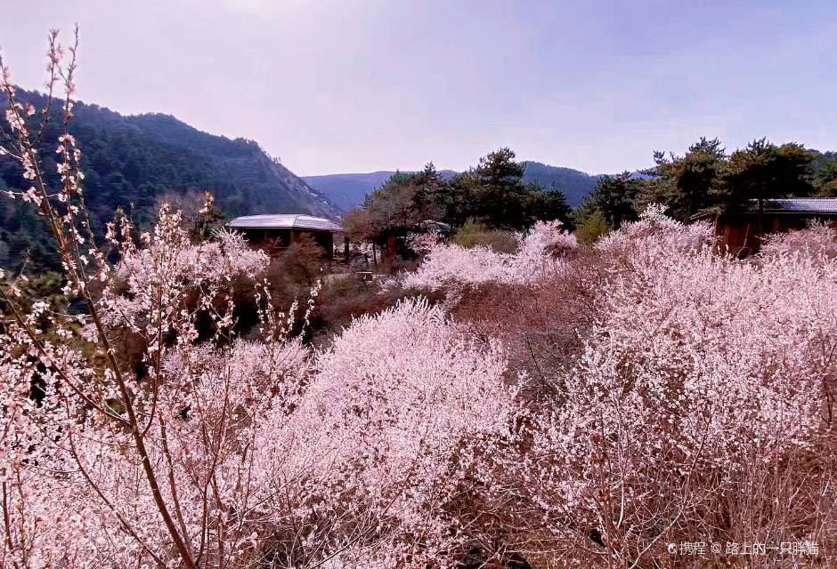 太原杜儿坪桃花沟