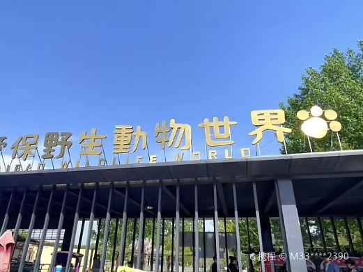 爱保中华大熊猫苑