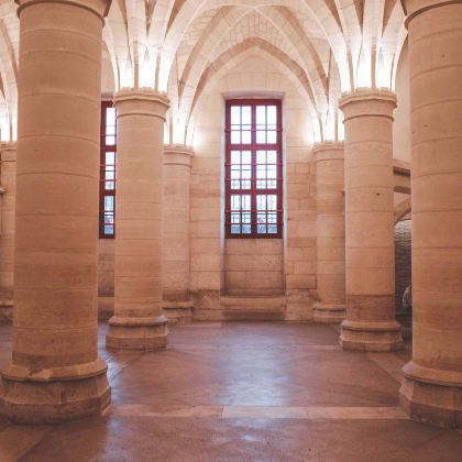 法国+瑞士9日私家团