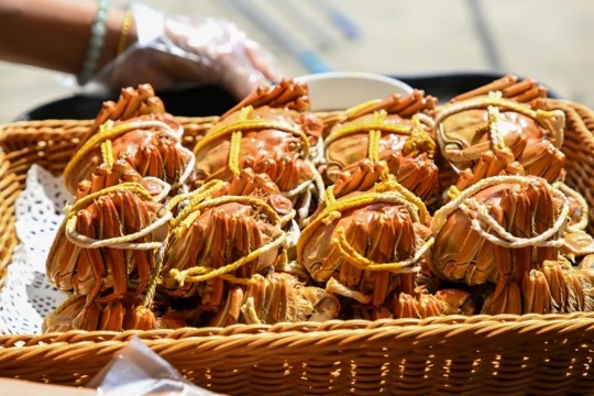 巴城阳澄湖小芳农家乐