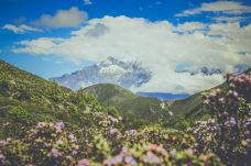 康定情歌(木格措)景区-康定