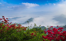 仙寓山景区-石台