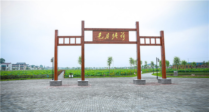 江苏又一网红打卡点平园池•荷香民俗园景区,随手一拍就是美景