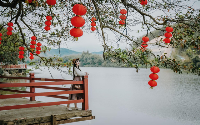 山水肇庆，春赏岭南好风光