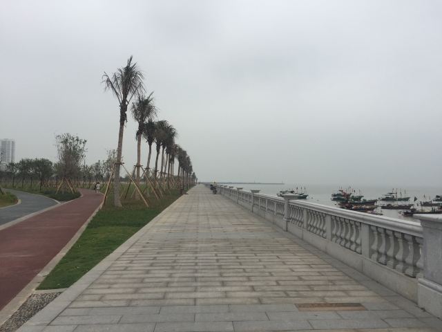 海岸公园旅行图片 1