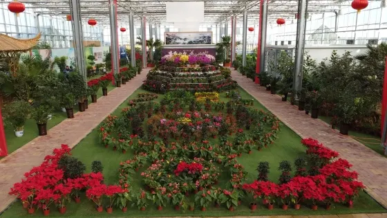 靖遠縣水岸三合旅遊景區