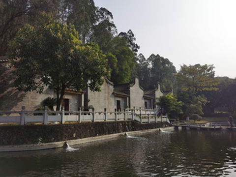 寻根武术之乡,寻味顺德美食——佛山一日游