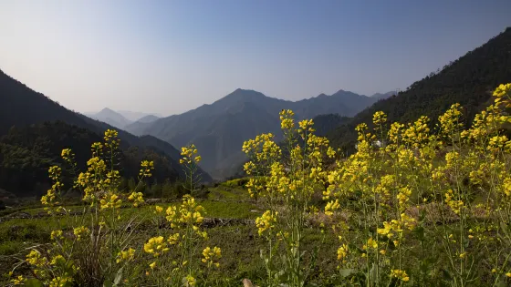胥嶺