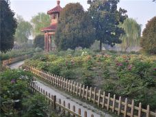 苏州中国花卉植物园-苏州-C-IMAGE