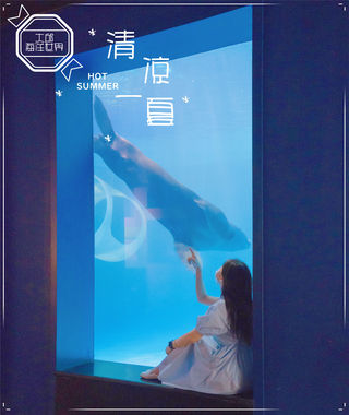 【游玩in大邱】大邱海洋世界，带你清凉一夏