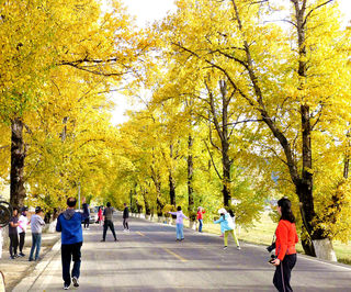 金秋时节租车自驾走川西(3):从丹巴经八美到新都桥