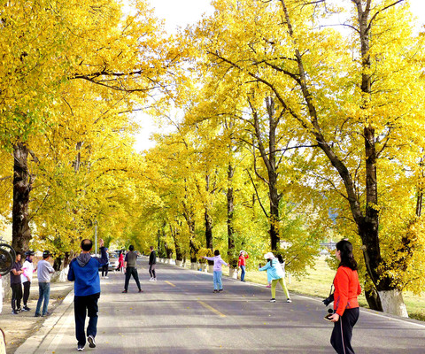 金秋时节租车自驾走川西(3):从丹巴经八美到新都桥