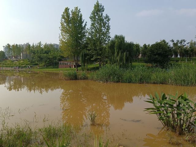 长安城市公园(樊川公园)旅行图片 4