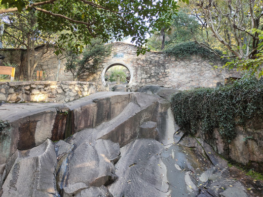 莲花峰，两位皇帝青睐的山种