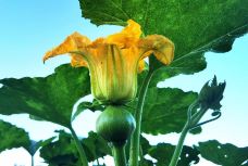 汾酒文化景区-汾阳-滇国剑客