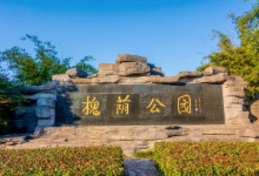 槐荫公园景点图片