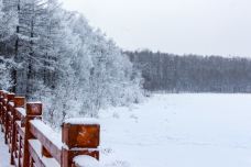 驼峰岭天池-扎兰屯-C-IMAGE