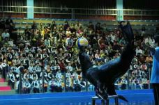 苏州海洋馆-苏州-C-IMAGE