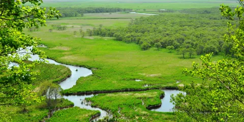 釧路濕原國立公園