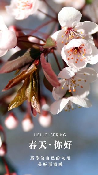 浪漫!不负春日好时光,绝美汶川等你打卡!