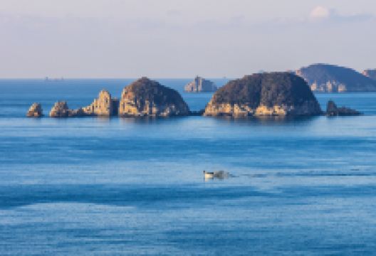 海金刚景点图片