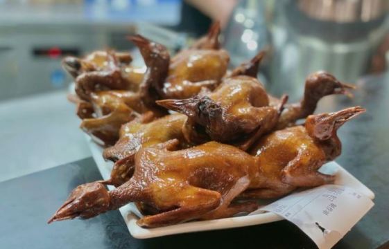 青峰乳鸽(中科谷店)