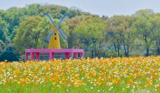 苏州中国花卉植物园-苏州-C-IMAGE