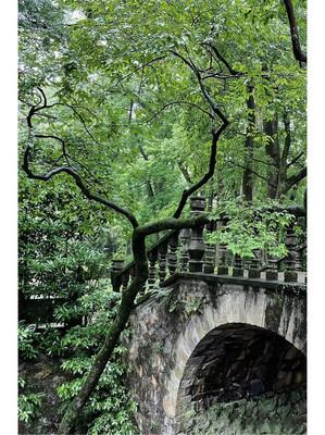 宁波夏日,这三个疯狂种草的夏日避暑圣地,真的值得一去吗?