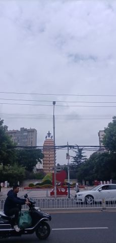 东寺塔茶花园旅行图片 3