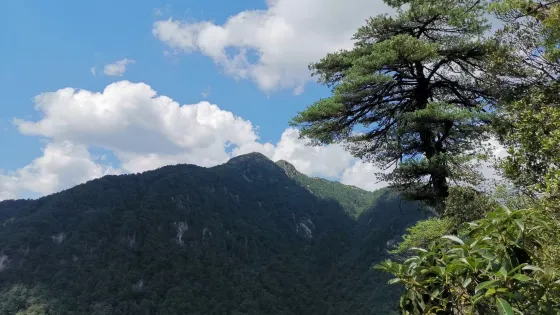 湖南莽山國家級自然保護區-鬼子寨景區
