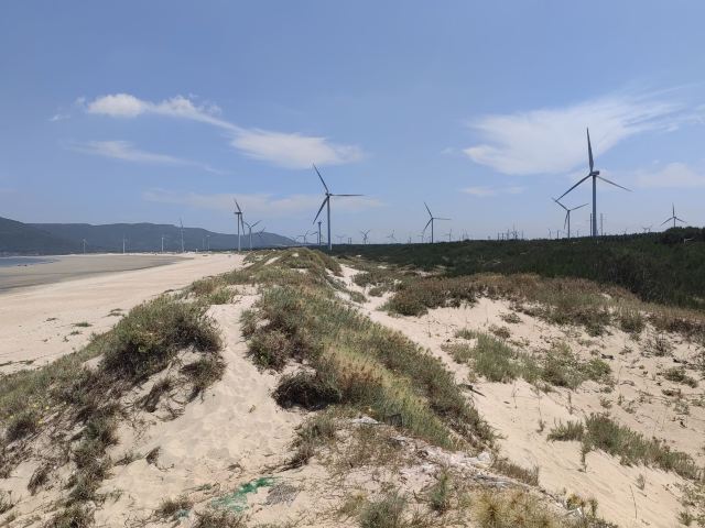 蓝眼泪观景点(长江澳海滩)旅行图片 2