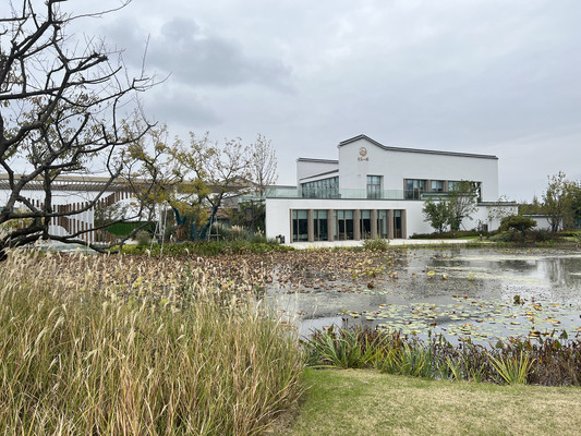 吴江芦墟古镇 or 青浦金泽古镇