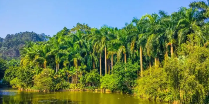 滴水巖森林公園